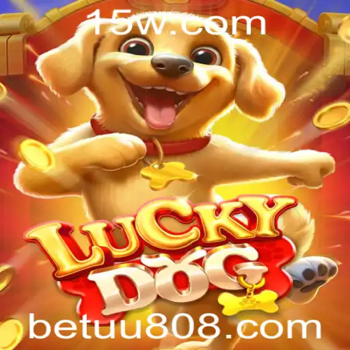 Descubra Tudo Sobre o Jogo 'LuckyDog': Regras, Início e Mais